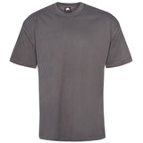 Orn Goshawk Deluxe T-Shirt - Comfortable Big Men's Premium Tee (2XL-5XL)