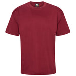 Orn Goshawk Deluxe T-Shirt - Comfortable Big Men's Premium Tee (2XL-5XL)
