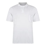 Kam Plain Polo Shirt ~ 9 Colours - sizes 2XL - 8XL